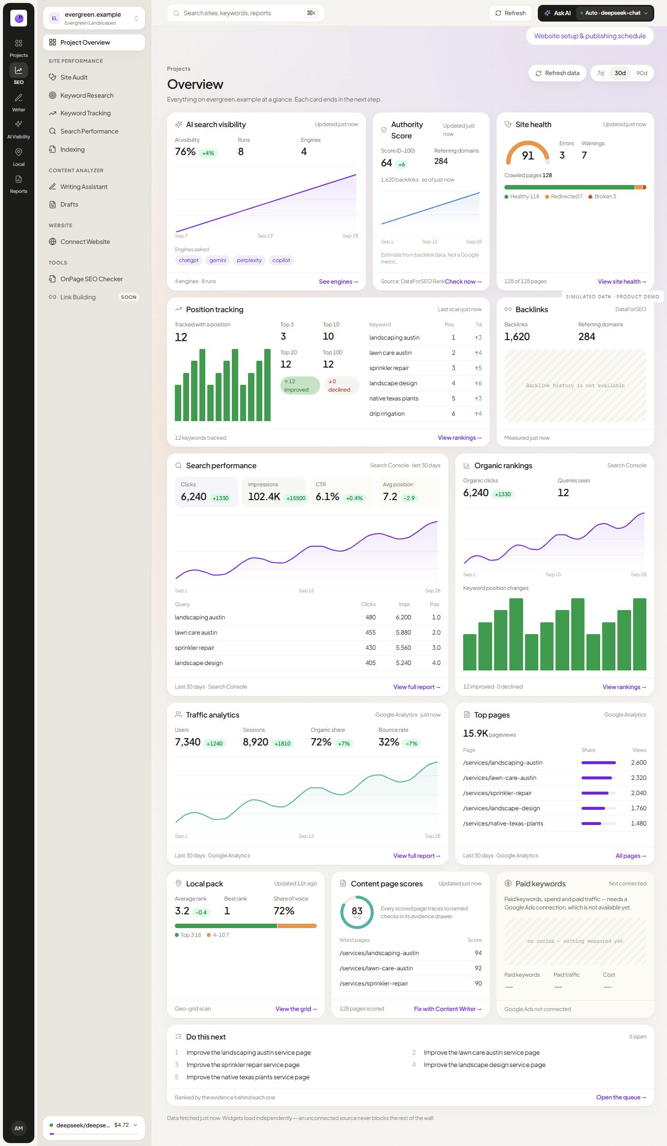RankZap project overview showing website health, search performance and traffic summaries with simulated data