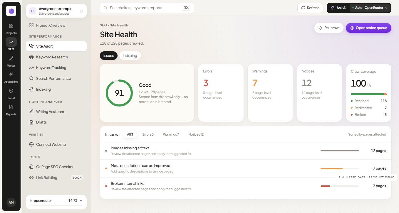 RankZap site audit dashboard showing site health, crawl coverage and page-level issue categories with simulated data