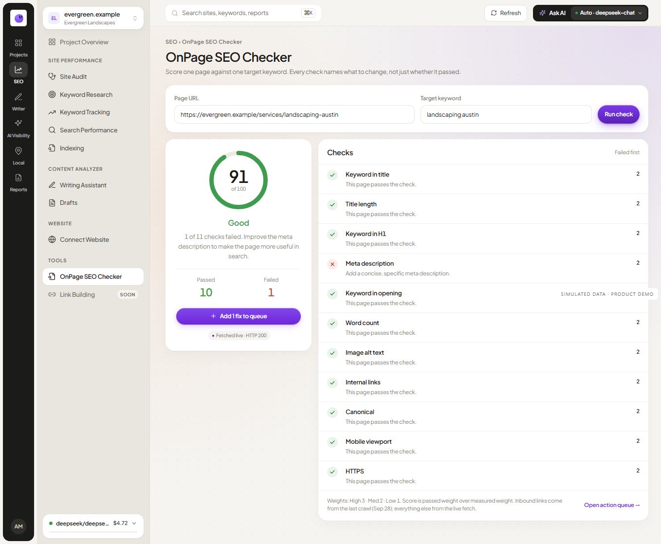 RankZap on-page SEO checker showing page findings and optimization checks with simulated data