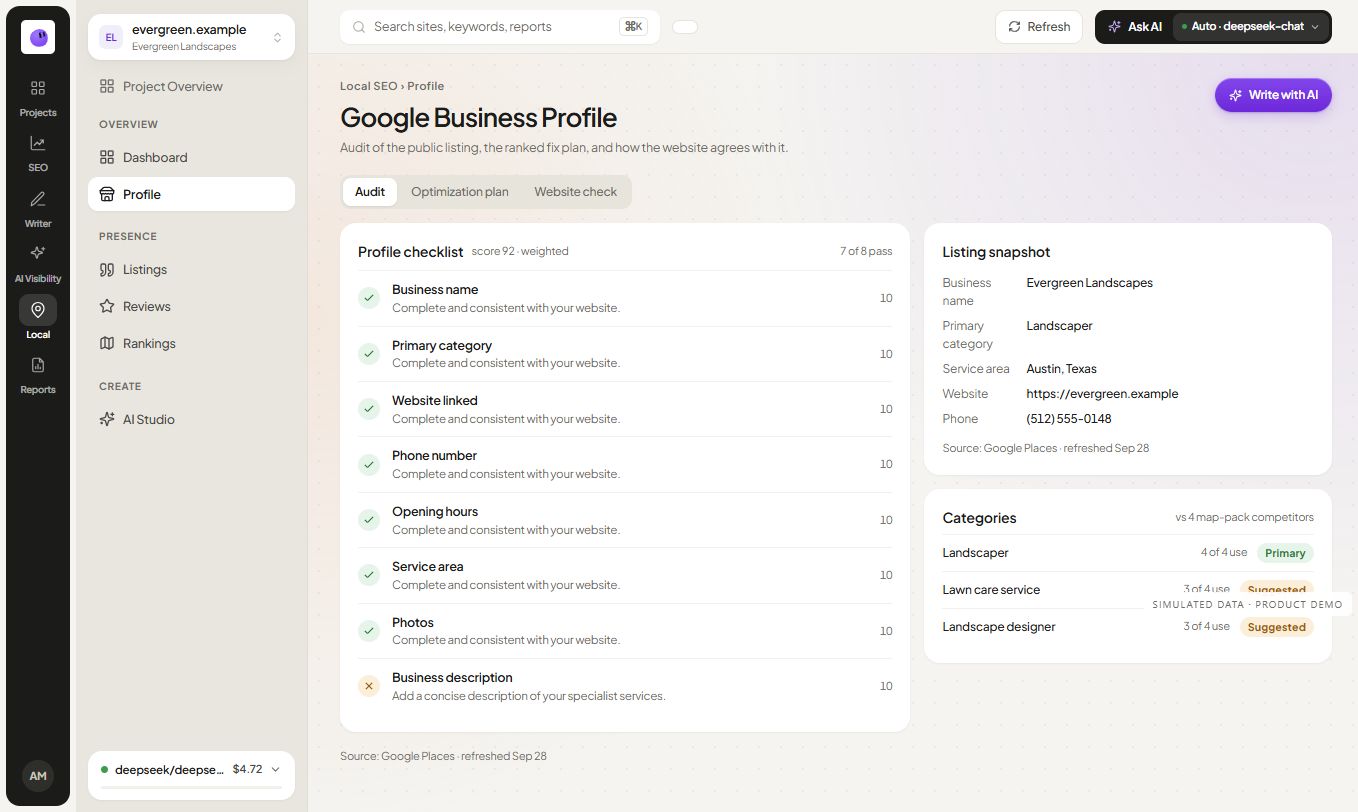 RankZap local business profile view showing profile details and review observations with simulated data